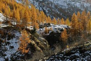 Herbstlandschaft in den Alpen foto