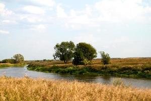 Blick auf den schönen Fluss und Wald foto