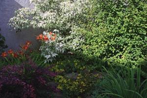 schöner Garten mit Blumen und grünem Rasen foto