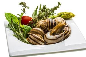 Schnecke mit Spargel, Rosmarin, Thymus und Tomate foto