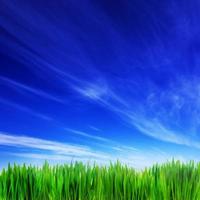 Hochauflösendes Bild von frischem grünem Gras und blauem Himmel foto