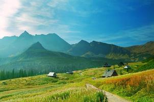 Berge tagsüber Landschaft foto