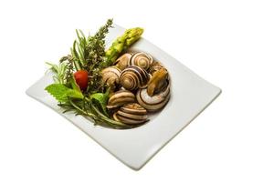 Schnecke mit Spargel, Rosmarin, Thymus und Tomate foto