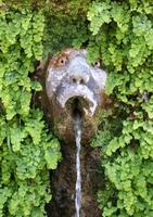 hundert brunnen in der villa d' este, tivoli, italien foto