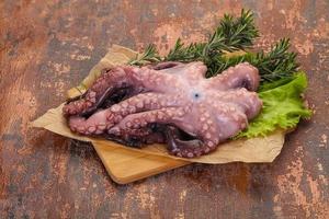 Roher Oktopus bereit zum Kochen foto