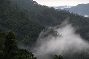 Nebel zwischen den Bergen nach dem Regen foto