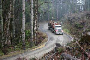Holztransporter im Wald foto