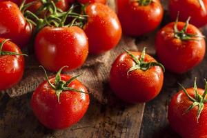 Bio rote reife Tomaten foto