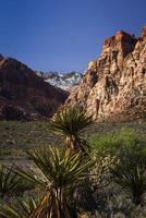 Berge von Red Rock Canyon Naturschutzgebiet 2