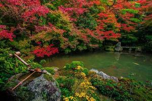 japanischer Garten im Herbst