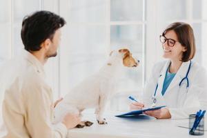 tierarzt untersucht haustier im krankenhaus, modernes büro, kommuniziert mit männlichem gastgeber, schreibt formulare in klemmbrett, mag tiere, kümmert sich um gesundheit. hundebesitzer im arztschrank mit jack russell terrier foto