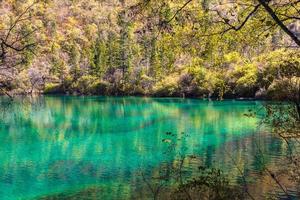schöner Teich im Jiuzhaigou Nationalpark