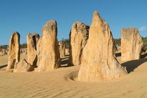 Nambung Nationalpark, Westaustralien foto