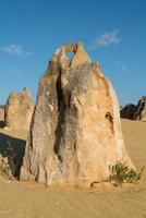 Nambung Nationalpark, Westaustralien foto