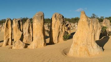 Nambung Nationalpark, Westaustralien foto