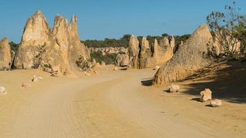 Nambung Nationalpark, Westaustralien foto