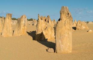 Nambung Nationalpark, Westaustralien foto