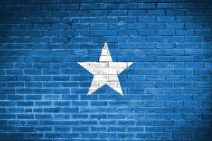 Somalia Flagge Wand Textur Hintergrund foto