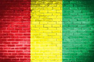 guinea flag wand textur hintergrund foto