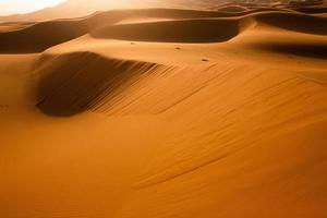 schöne sanddünen in der sahara-wüste in marokko. Landschaft in Afrika in der Wüste. foto