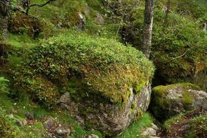 Bunte Bergszenen in Norwegen. schöne Landschaft von Norwegen, Skandinavien. Norwegen Berglandschaft. Natur im Sommer. foto