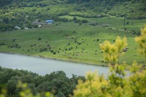 das dorf stroiesti ist eine sehr malerische ländliche stadt in der republik moldawien, die am ufer des flusses dnjestr liegt foto