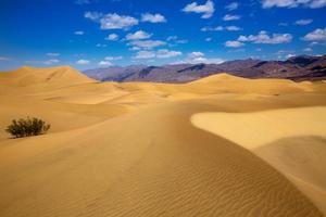 Mesquite Dünen Wüste im Death Valley National Park foto