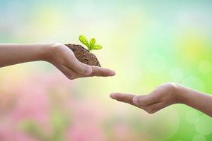 Weltumwelttag. Menschenhände halten kleine Pflanzen aneinander, um die Umwelt zu schonen.