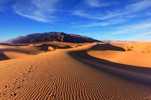 sonniger Morgen im Death Valley foto