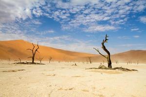 Sossusvlei Wüste, Namibia foto