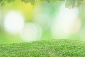 Unschärfe Kreis Bokeh grünes Blatt Hintergrund. verschwommene gelbe blätter strahlen lichtfackel naturkulisse. foto