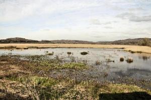 Blick auf das Naturschutzgebiet Leighton Moss im Lake District foto