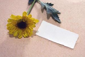 zerrissenes papier auf holzoberfläche und sonnenblume flach liegend mit kopierraum. foto