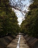 Wasserstrom in einem städtischen Kanal zwischen den Bäumen foto