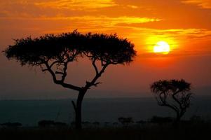 Sonnenuntergang in Afrika foto
