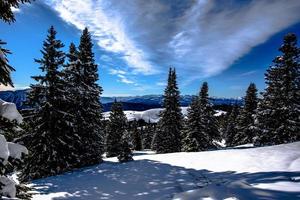 2021 12 11 Cima Larici Schnee und Pinien 3 foto