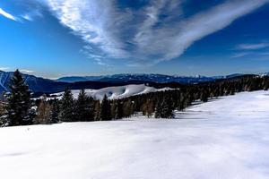 2021 12 11 Cima Larici Schnee und Pinien 4 foto