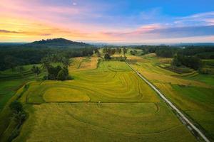 indonesiens natürliche landschaft mit reisfeldern und klarem himmel