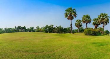 Panorama grünes Gras auf dem Golfplatz mit Palme foto