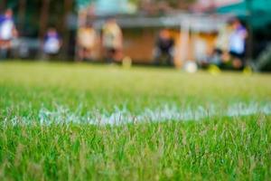 Gras auf dem Fußballplatz foto