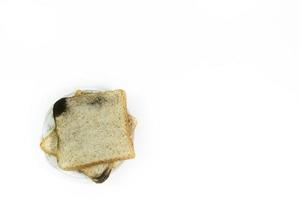 Zwei quadratische Brotscheiben auf einer Pilzinfektionsplatte auf isoliertem weißem Hintergrund. foto