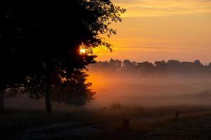 nebeliger sonnenaufgang pietmoor deutschland foto