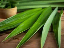 pandan und pandanblätter in einer holzschale, die für pandansaft oder pandankuchen zum kochen oder getrockneten vor dem kochen zubereitet wird. im studio gedreht foto