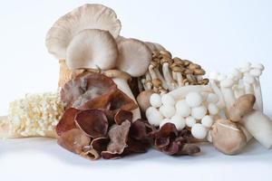 Vielzahl von Pilzen. frisches Bio-Shiitaki, Grauer Austernpilz, Jelly Ear und Enoki-Pilze. köstliche und nahrhafte Zutat für einen vegetarischen und gesunden Lebensstil. foto