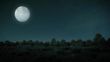 vollmond mit wald und wiese.3d-rendering foto