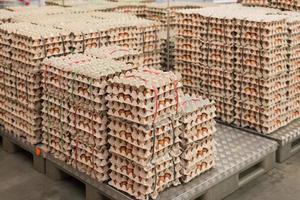 Eier von der Hühnerfarm in der Packung foto
