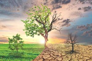 Konzeptbild der globalen Erwärmung, das die Auswirkungen von trockenem Land zeigt foto