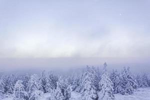 eingeschneit in eisigen tannen landschaft brocken berg harz deutschland foto