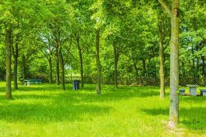 norddeutsches landwirtschaftliches feld wald bäume natur landschaft panorama deutschland. foto