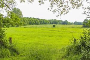 bewölkter himmel mit wunderschönem naturwaldlandschaftspanorama deutschland. foto